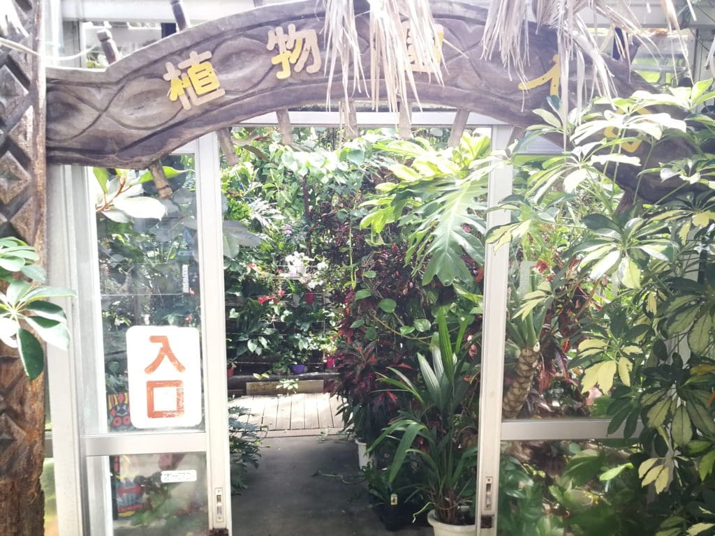 下賀茂熱帯植物園